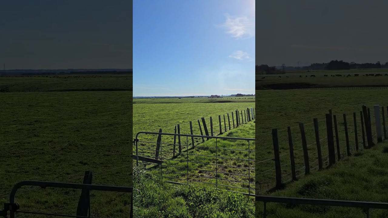 Another Day in New Zealand 