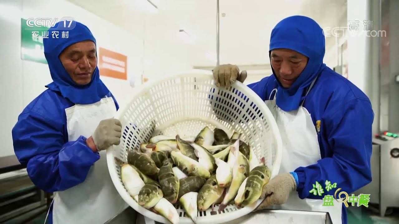 谁知盘中餐 1104 河豚 无毒 大揭秘 Cctv农业 Youtube