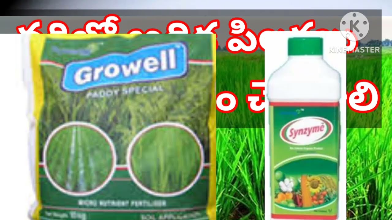 growell F7 synergy// Synzyme strong