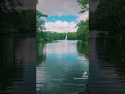 أصالة نصري انت المحبة كلها