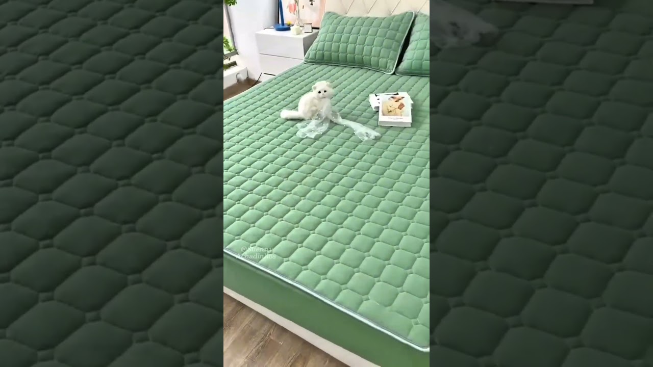 Achei na Shopee um protetor impermeável por R$13,89😱