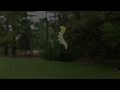 Viral video free flying dancing worm