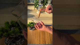 Cam Cezve Irsatürünü Ürünleri