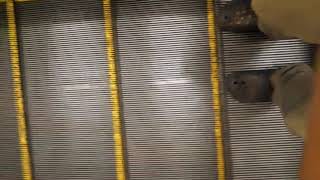 8 Steak Nbg Neo Blood Guy