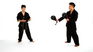 How to Do Combination Drills | Taekwondo Training screenshot 3
