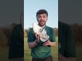 Say hello to the best golf shoes of 2025!