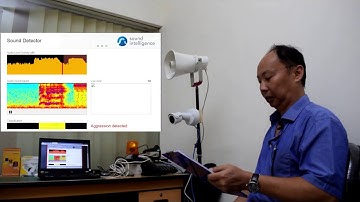 AXIS Aggression Detector