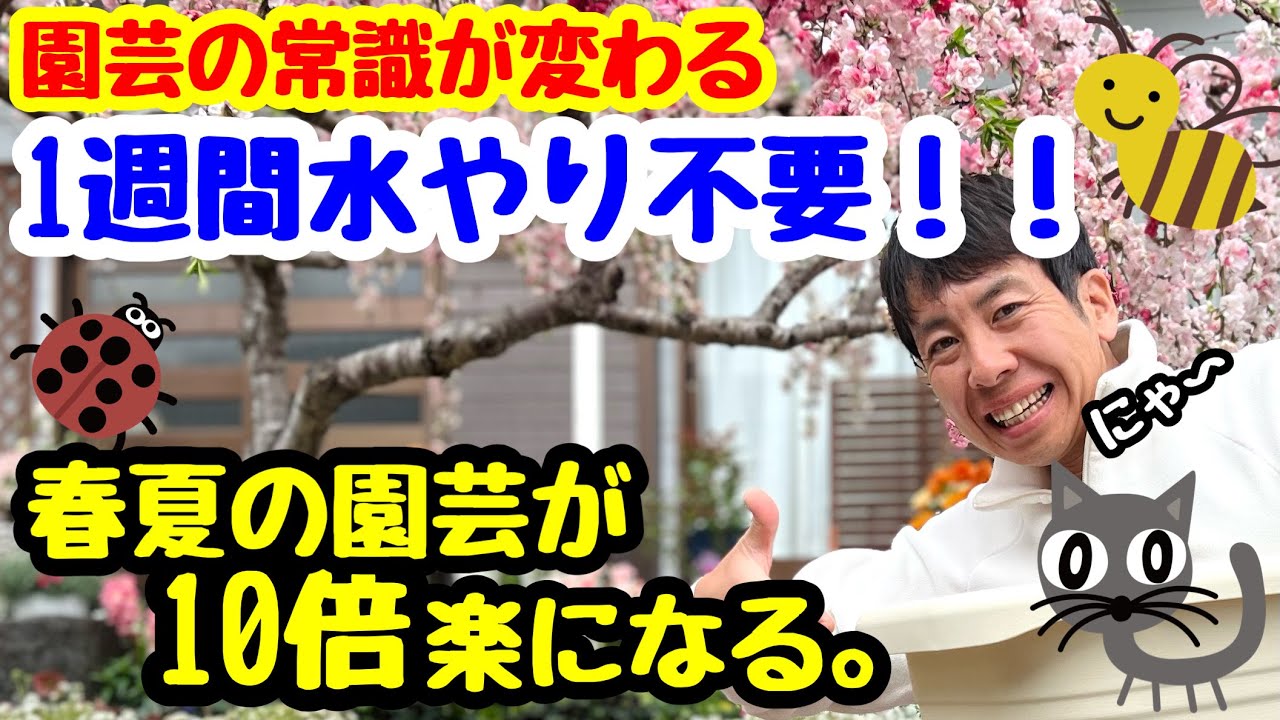 ◇【水やり革命】水やりが劇的に楽になる！！ - YouTube