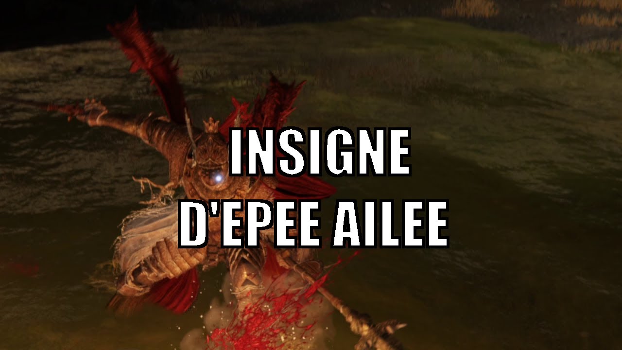 Elden Ring FR – Ensemble armure de sage – Grottes aux eaux stagantes |  Walkthrough no talk