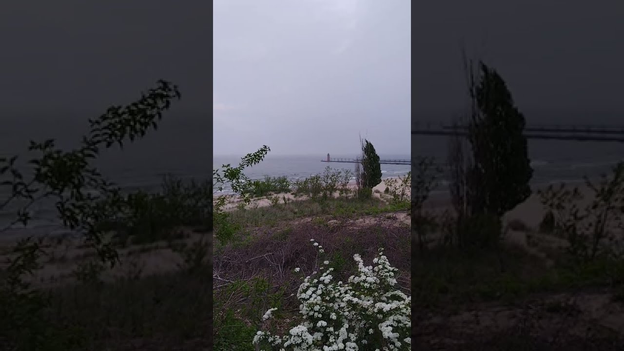 Fog Over Lake Michigan Shore 