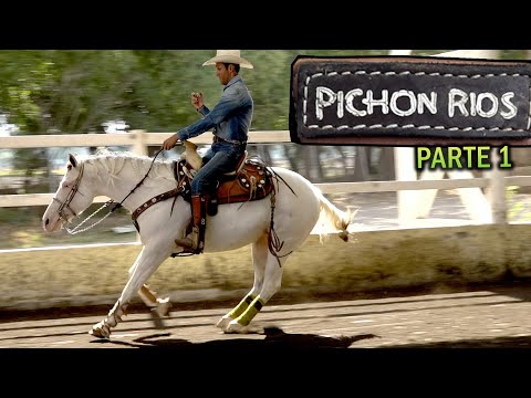 Mauricio Pichon Rios - Professional Horse Trainer - Part 1