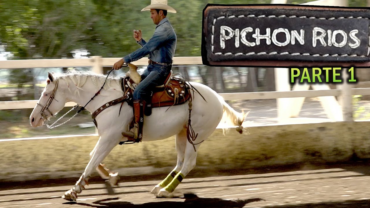 Mauricio Pichon Rios - Entrenador Profesional de Caballos - parte 1