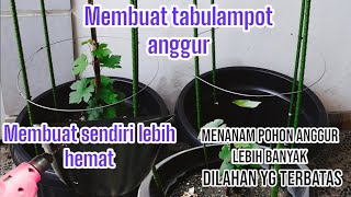 CARA MEMBUAT TABULAMPOT ANGGUR
