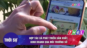 Hợp tác xã phát triển sản xuất, kinh doanh qua môi trường số