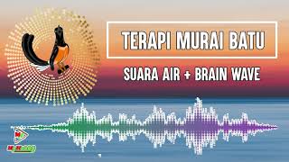 AUTO EMOSI MURAI BATU DIAM, DENGAR SUARA MURAI TARUNG INI