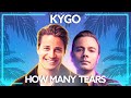 Kygo With Sam Feldt Ft Emily Warren How Many Tears Lyric Video mp3
