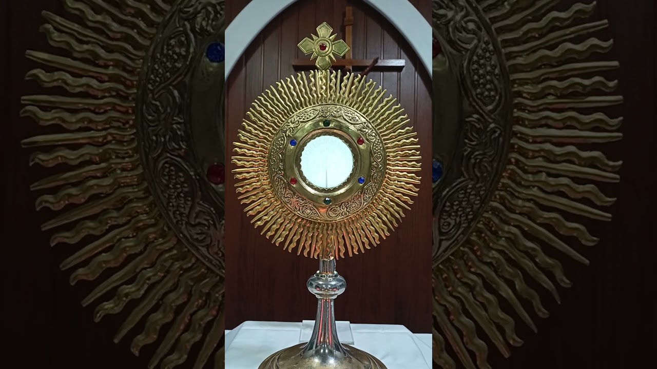 #DailyEucharisticAdoration