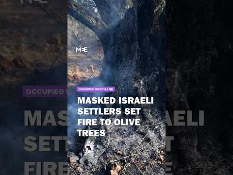 Israeli settlers attack Palestinian olive farmers