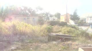 Its A Wonderful Morning Isnt It?