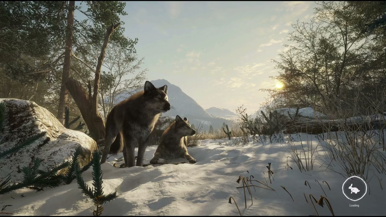 COTW - Askiy Ridge Saturday Hunting