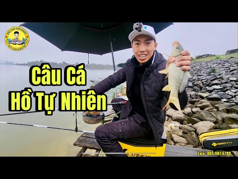 Câu Cá Chép Hồ Tự Nhiên ở Ninh Bình