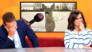 Hilarious News Reporter Fails on live TV!