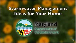 Storm Water Management Ideas for Your Home (2021)