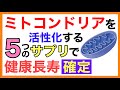 ミトコンドリアを活性化する５つのサプリ［ミトコンドリアを活性化する方法］ミトコンドリア/活性化/サプリ