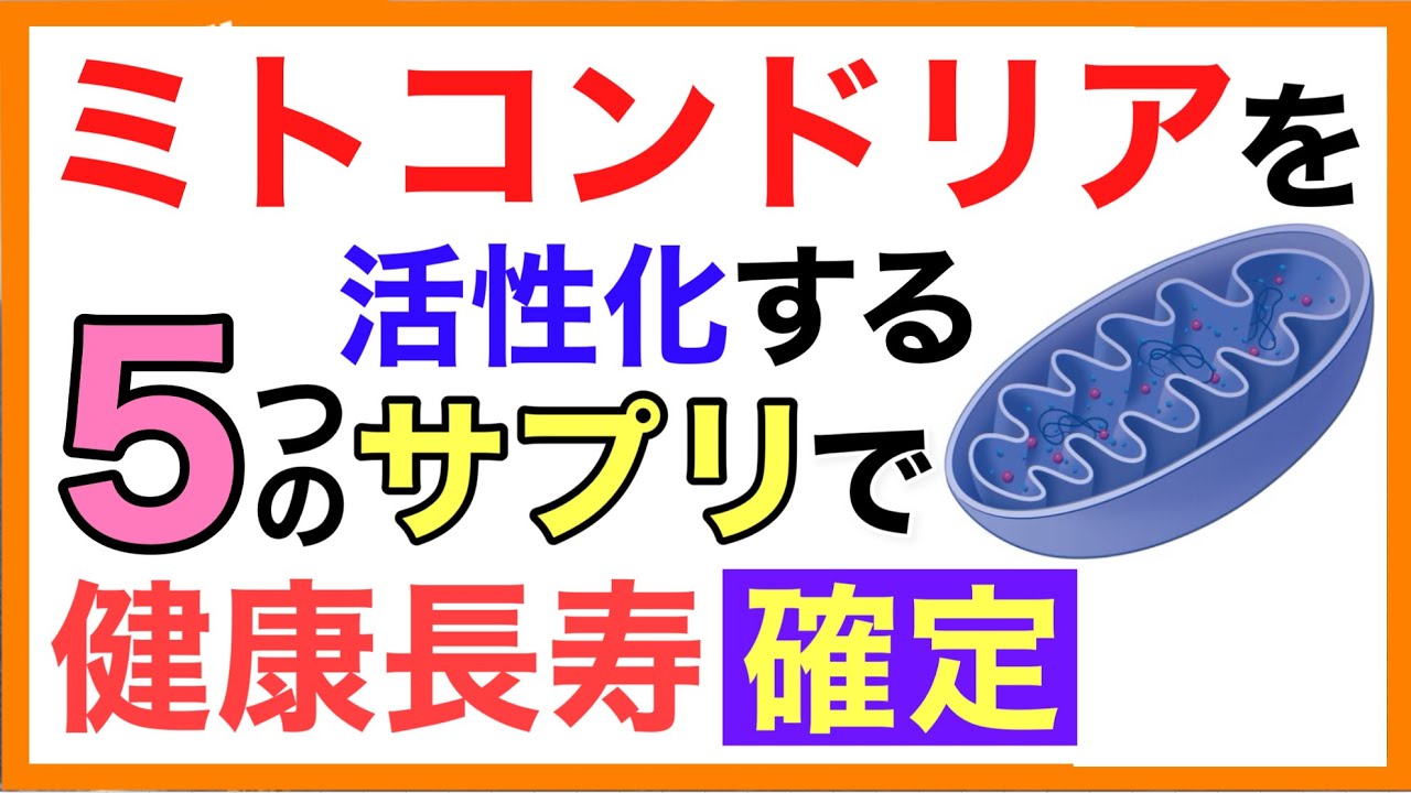 ミトコンドリアを活性化する５つのサプリ［ミトコンドリアを活性化する方法］ミトコンドリア/活性化/サプリ