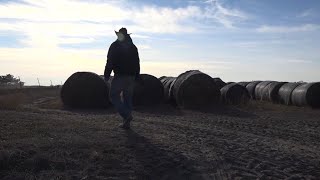 Applications open for Century, Heritage farms in Iowa