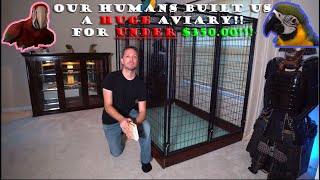 Our Humans  Indoor Macaw Aviary \ Cage Build | Under $350.00!!!!