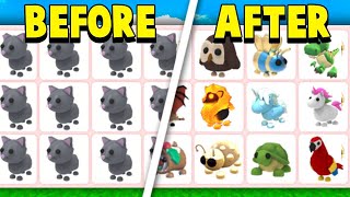 Trading 100 Cats In Adopt Me