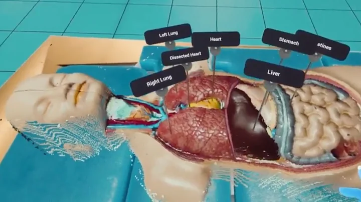 Top Tech Startups & Companies in 2025: Shaping the Future