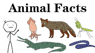 Weird animal facts