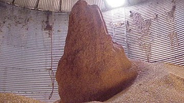 Proper grain bin management saves lives