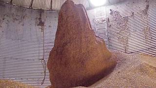 Proper grain bin management saves lives
