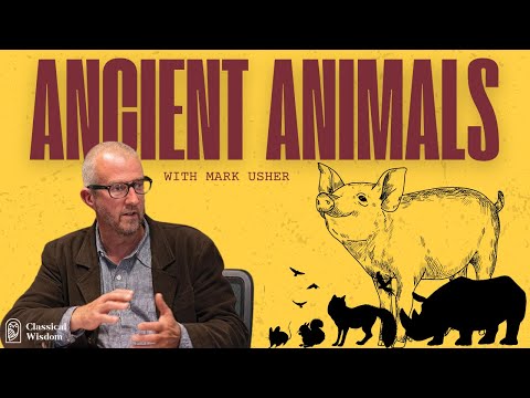 How Should We Treat Animals?