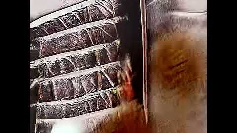 Training Image Experiment   Latent Space Walk