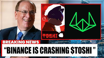 Binance vs Wintermute: The Fake War Crashing Bitcoin 😳 Here’s Why I’m Still Bullish on $TOSHI
