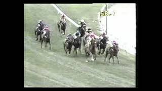 1991 William Reid Stakes - Redelva