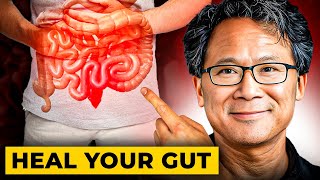 Eat These 5 Superfoods to Fix Your Gut Health | Dr William Li's Advice