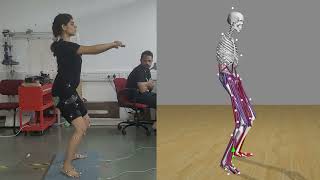 Class Project 1 | Biomechanical Movement Analysis Using OpenSim Software | Human Robot Interaction
