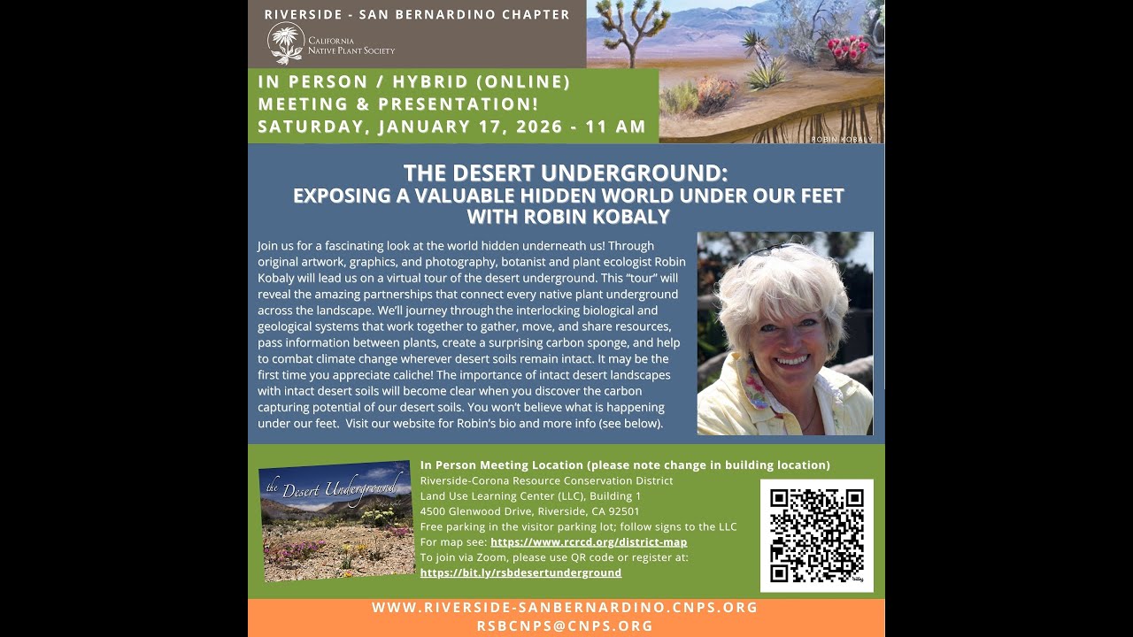 The Desert Underground: Exposing a Valuable Hidden World Under Our Feet with Robin Kobaly