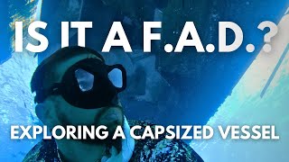 Is it a FAD? Exploring a capsized vessel and spearfishing Mutton Snapper in the Florida Keys