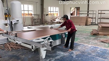 Máy Cưa Bàn Trượt 2 Lưỡi Italy | Máy Cưa Bàn Trượt | Đại Phúc Vinh CNC