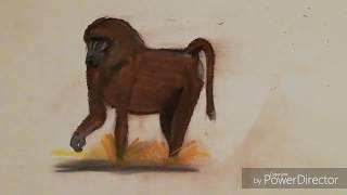 Saison Savane Tuto Dessin Apprendre À Dessiner Un Babouin