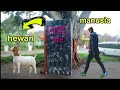 PRANK PINTU MAGIC MANUSIA BERUBAH JADI HEWAN