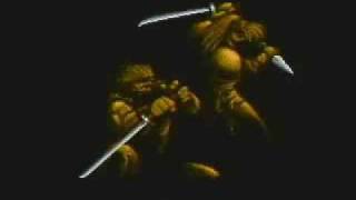 Ninja They Are Called - Shadow of the Ninja Intro