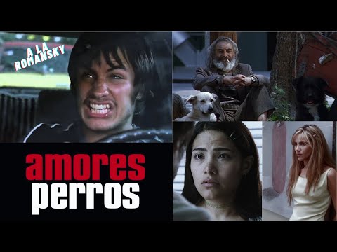 AMORES PERROS 2000 Resumen 