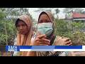 Api Gambut Kembali Menyala! Karhutla Dekati Permukiman Warga Palangka Raya| SAPA PAGI